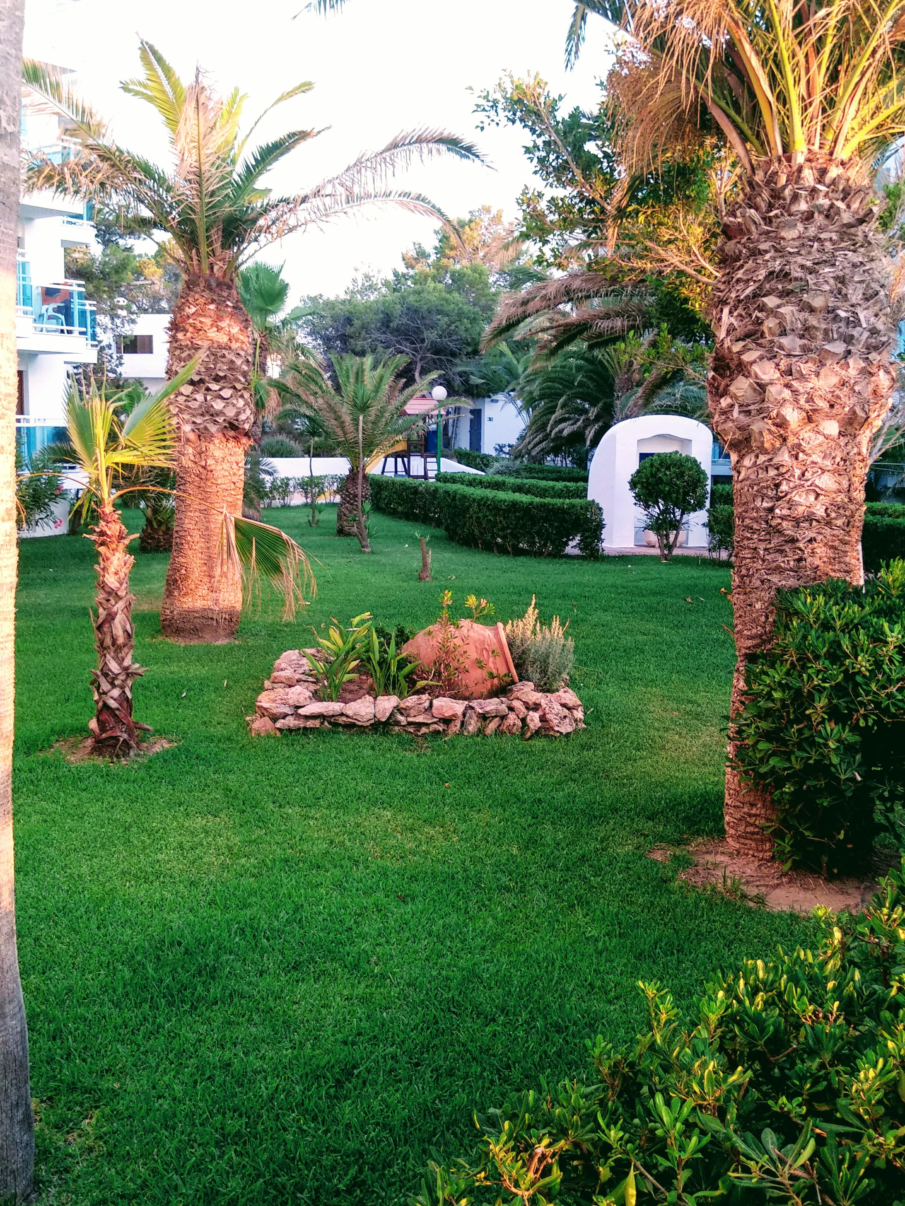 Aparthotel Nereida San Antonio  Bagian luar foto